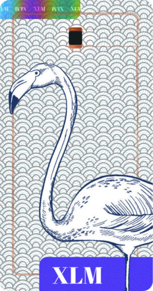 Illustration of a flamingo on a patterned background, featuring a bold "XLM" label at the bottom.